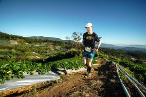 BIB: 
                            <button type="button" onclick="openModal(19118219)" class="btn btn-primary btn-sm float-right btn-popup" data-toggle="modal" data-target=".modal-high-quality">
                        <i class="fas fa-shopping-cart"></i> Add to Cart
                    </button>
                                            <button type="button" onclick="isThisMe(19118219, true)" class="btn btn-success btn-sm float-right btn-popup btn-isme hidden" data-toggle="tooltip" data-placement="bottom" title="นี่คือรูปของคุณใช่ไหม คลิกที่นี่เพื่อเอาเข้าอัลบั้ม">
                        <i class="fas fa-plus"></i> Add to album
                    </button>
                    <button type="button" onclick="isThisMe(19118219, false)" class="btn btn-warning btn-sm float-right btn-popup btn-isnotme hidden">
                        <i class="fas fa-ban"></i> Remove from album
                    </button>